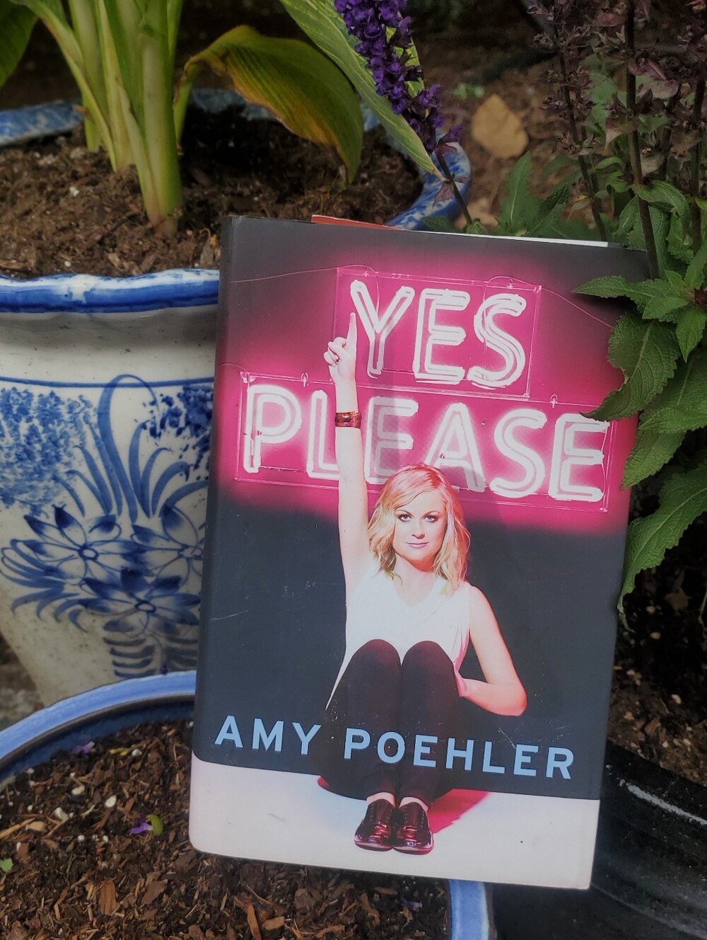 Yes Please by Amy Poehler